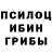 Галлюциногенные грибы мухоморы Anna Chi