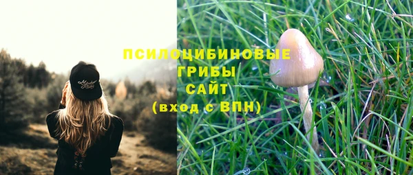 МДПВ Зеленокумск