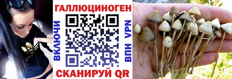 гидра ССЫЛКА  Иннополис  Псилоцибиновые грибы мицелий 